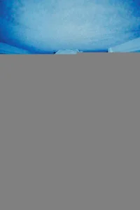  Паранормальные явления. Скинамаринк 